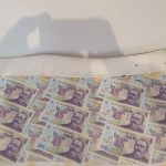 фалшиви фалшифицирани леи банкноти румъния