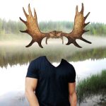 рогоносец