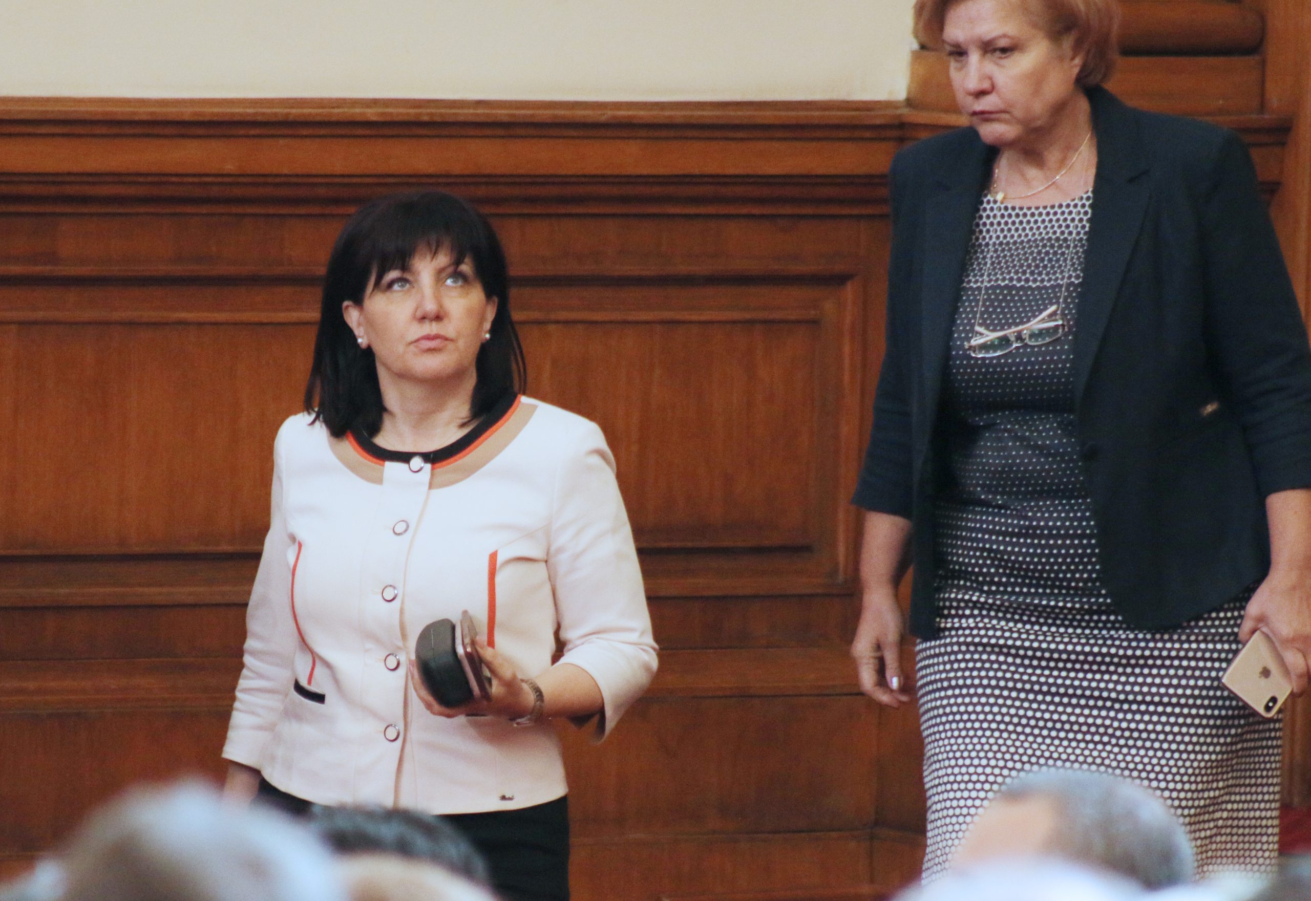 Парламент Цвета Караянчева Менда Стоянова
