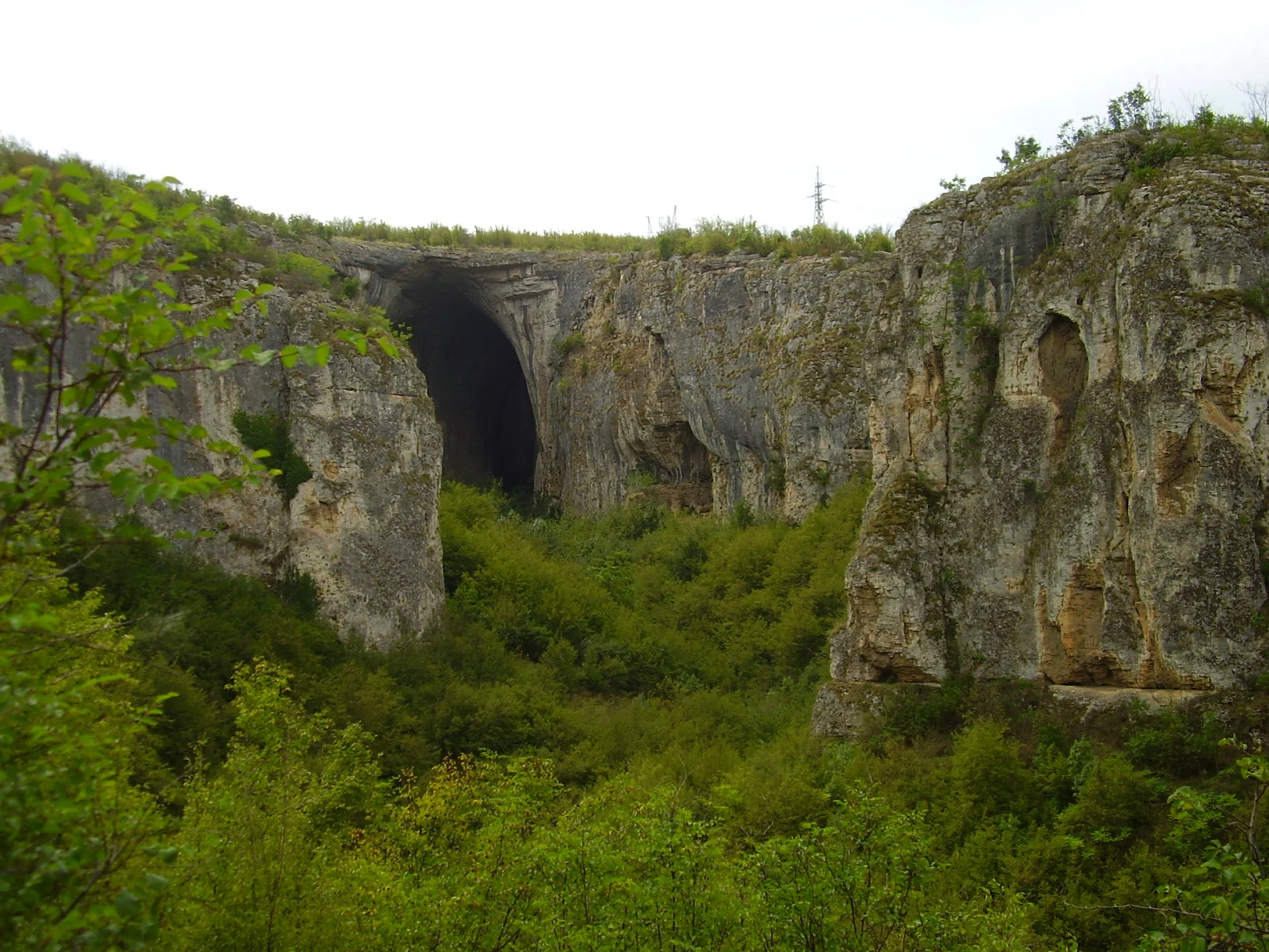 община луковит