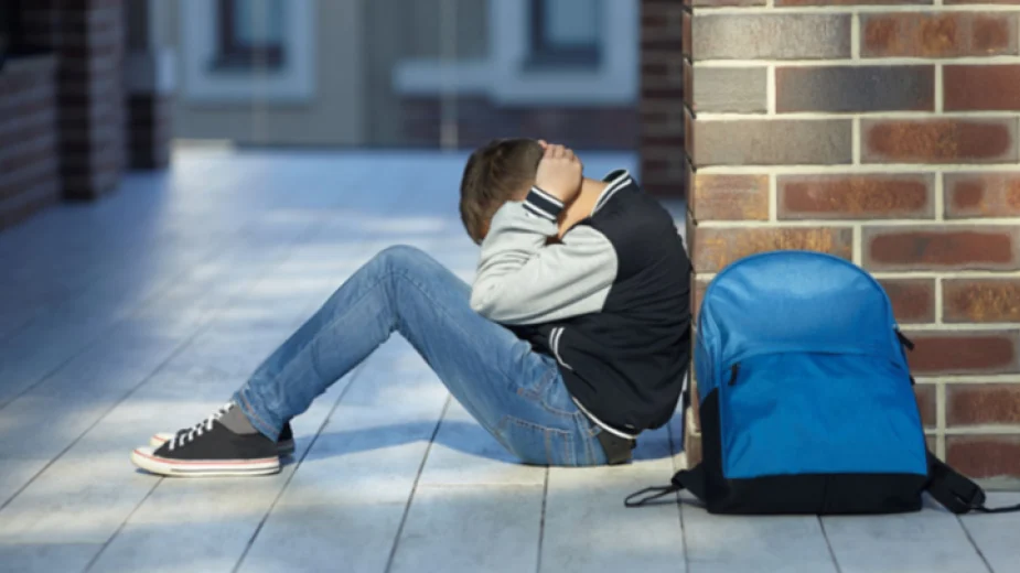 Депутати обсъдиха възможностите за кампания, свързана с агресията сред деца