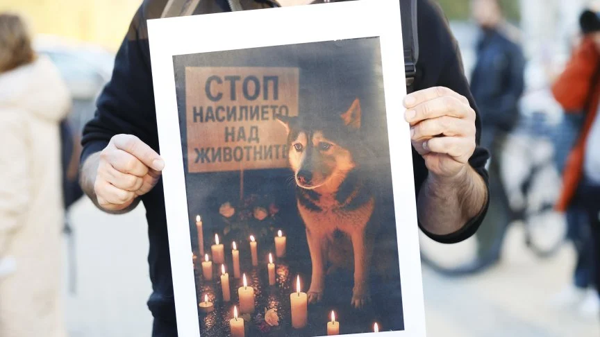 Недоволни от връщането на д-р Ненад Цоневски във ВМА протестираха пред болницата