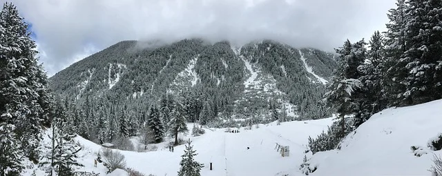 Горя покрив на хотел в Банско 1 bansko 5136871 6401.jpg.wpt4 1761754 9b09f2ce21 0