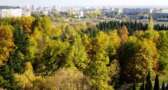 бедечка