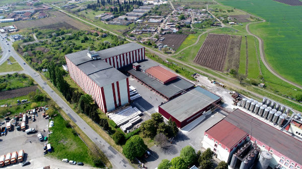 черноморско злато поморие