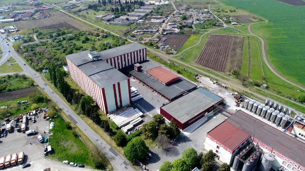 черноморско злато поморие