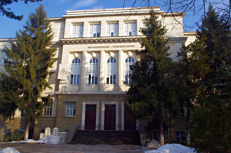 университет