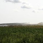 полечушкиниваоранжерии