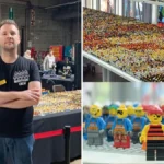 стивън ван дайк рекорд колекция Лего