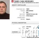 танев