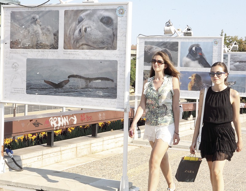 Migration Image