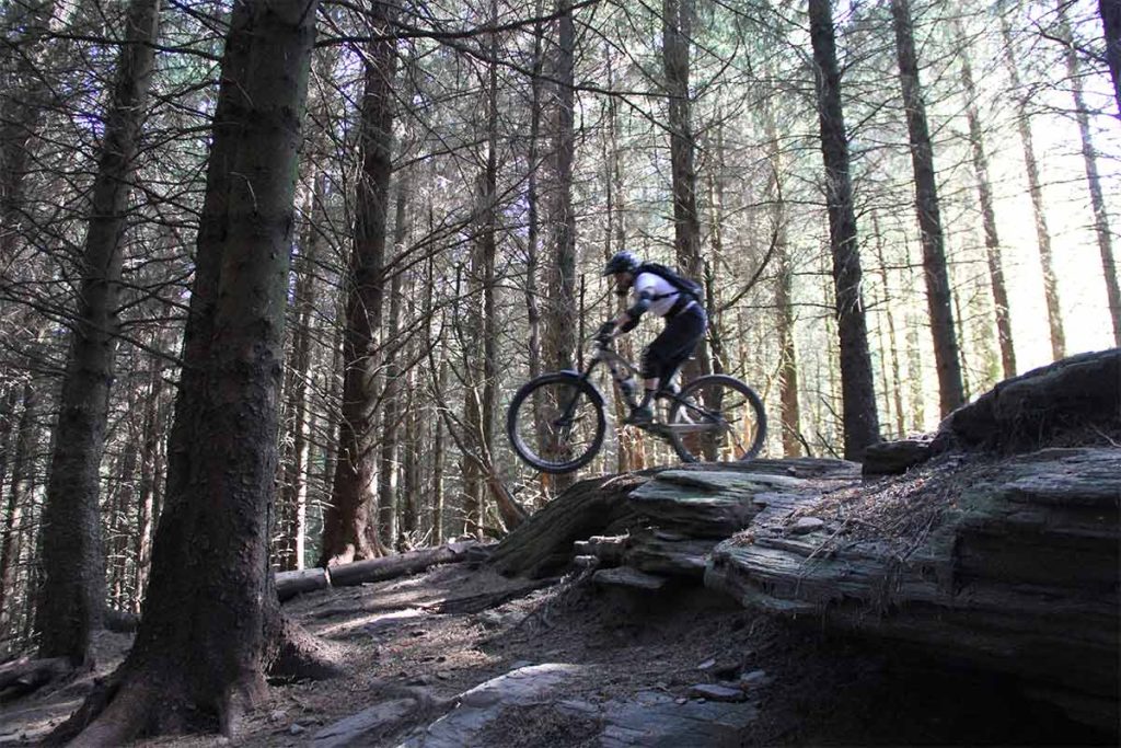 bike park wales root manouvres red black tech trail enduro natural uplift mtb uk