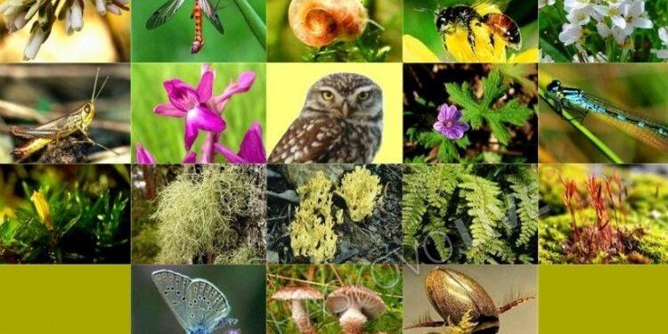 biolog 880x537 1 750x375 1