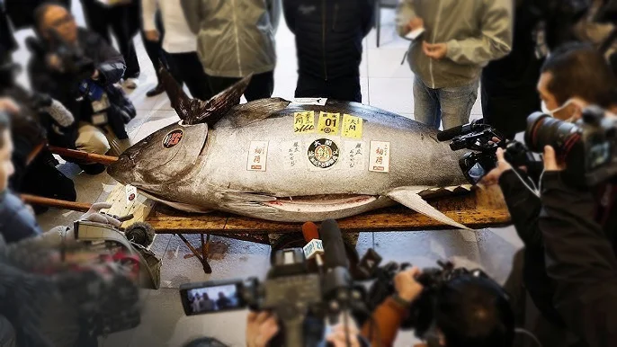 Риба тон с тегло 243 кг постави нов рекорд с цена от 3.2 млн. долара на търг в Токио