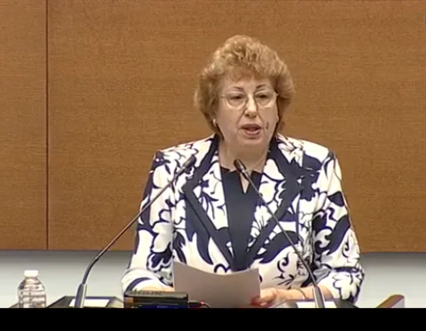 национална стратегия