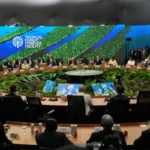 Брзилия, Фондът „Тропически Гори Завинаги“