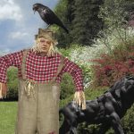 Migration Image