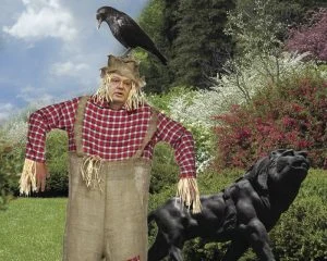 Migration Image