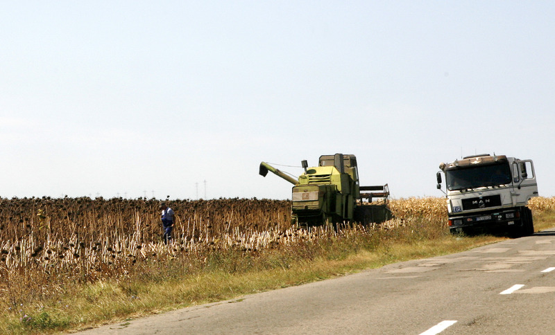 Migration Image