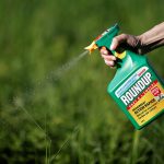 Roundup