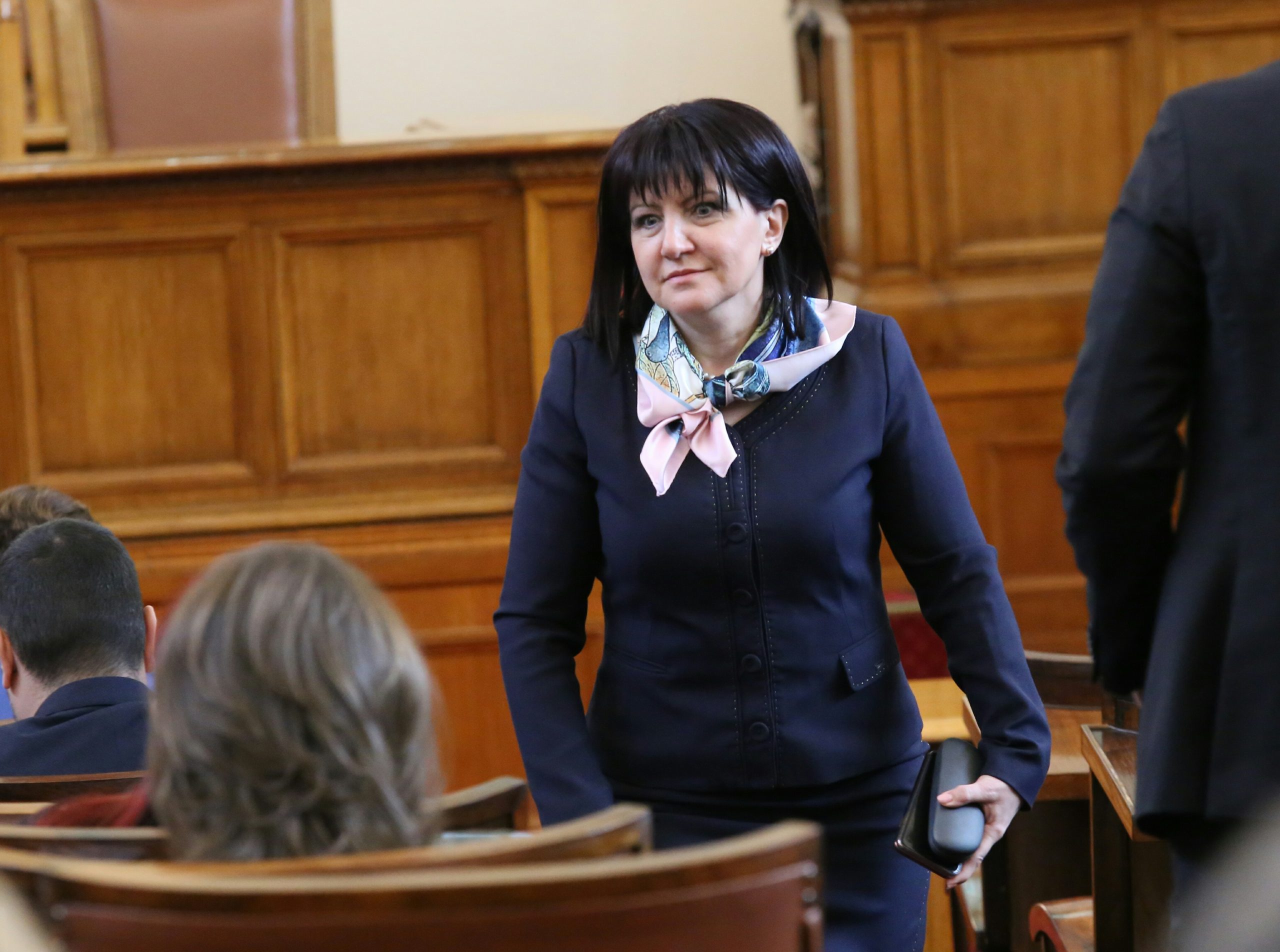 Парламент Цвета Караянчева