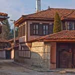 копривщица