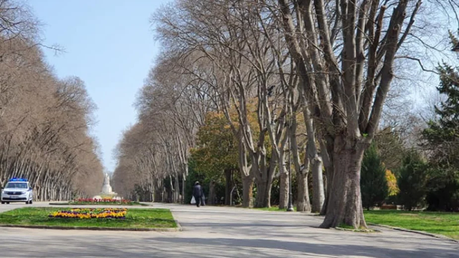 Морска градина
