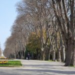 Морска градина