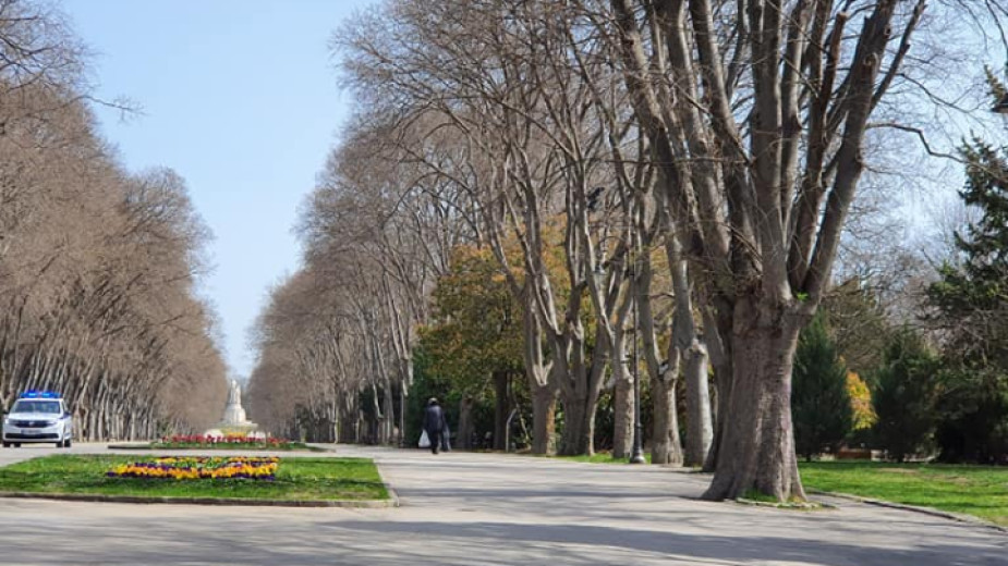 Морска градина