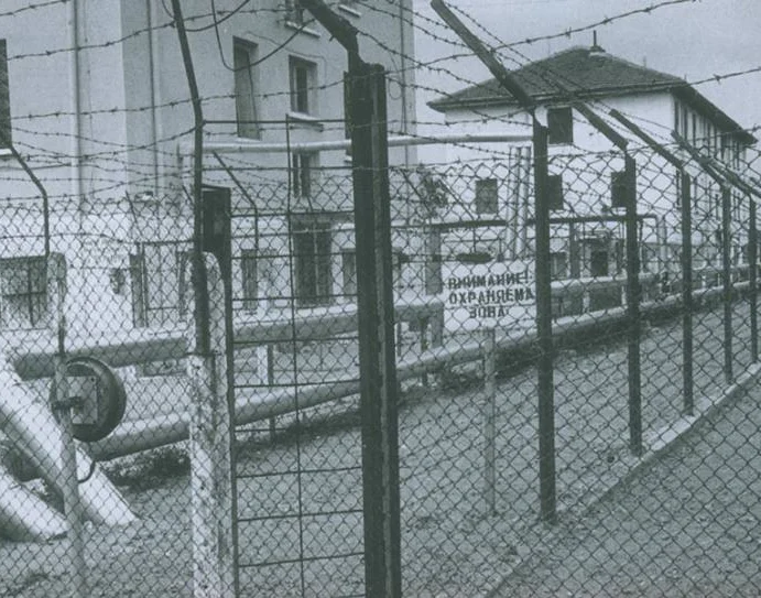 Белене