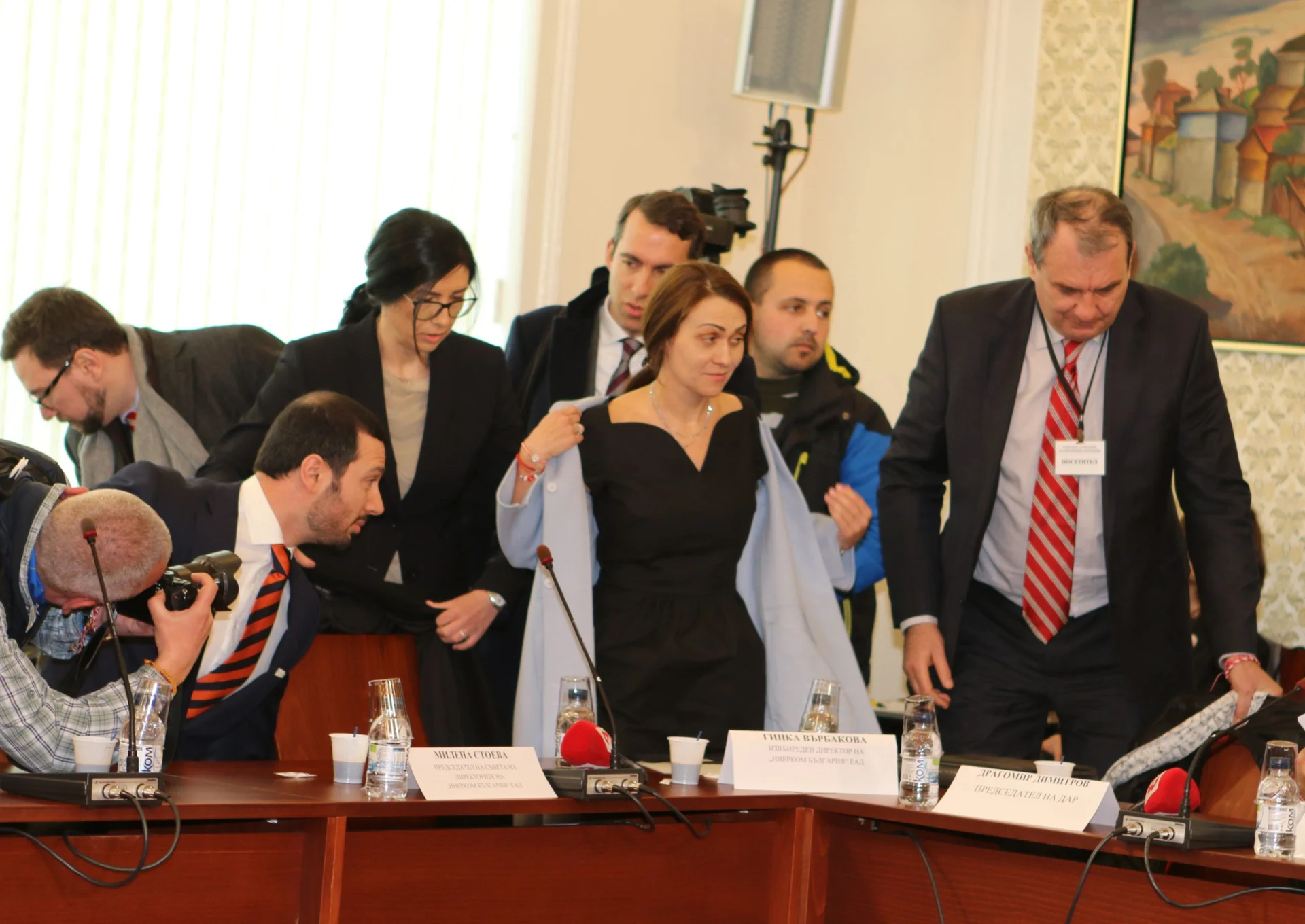 Парламент комисия по енергетика Гинка Върбакова