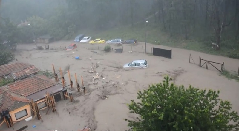 Migration Image