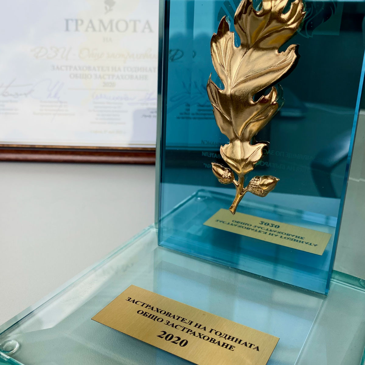 ДЗИ е избрана за „Застраховател на годината“