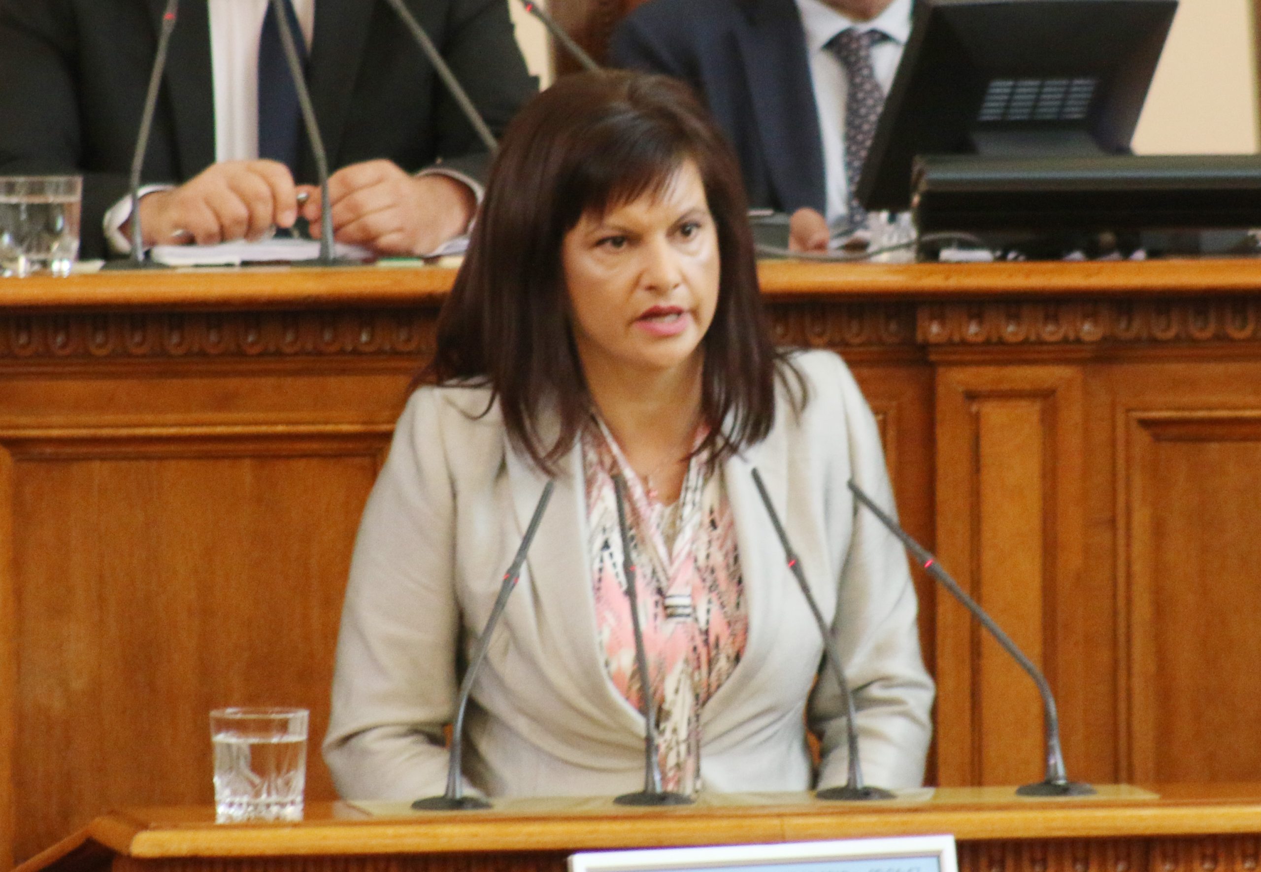 Парламент Даниела Дариткова