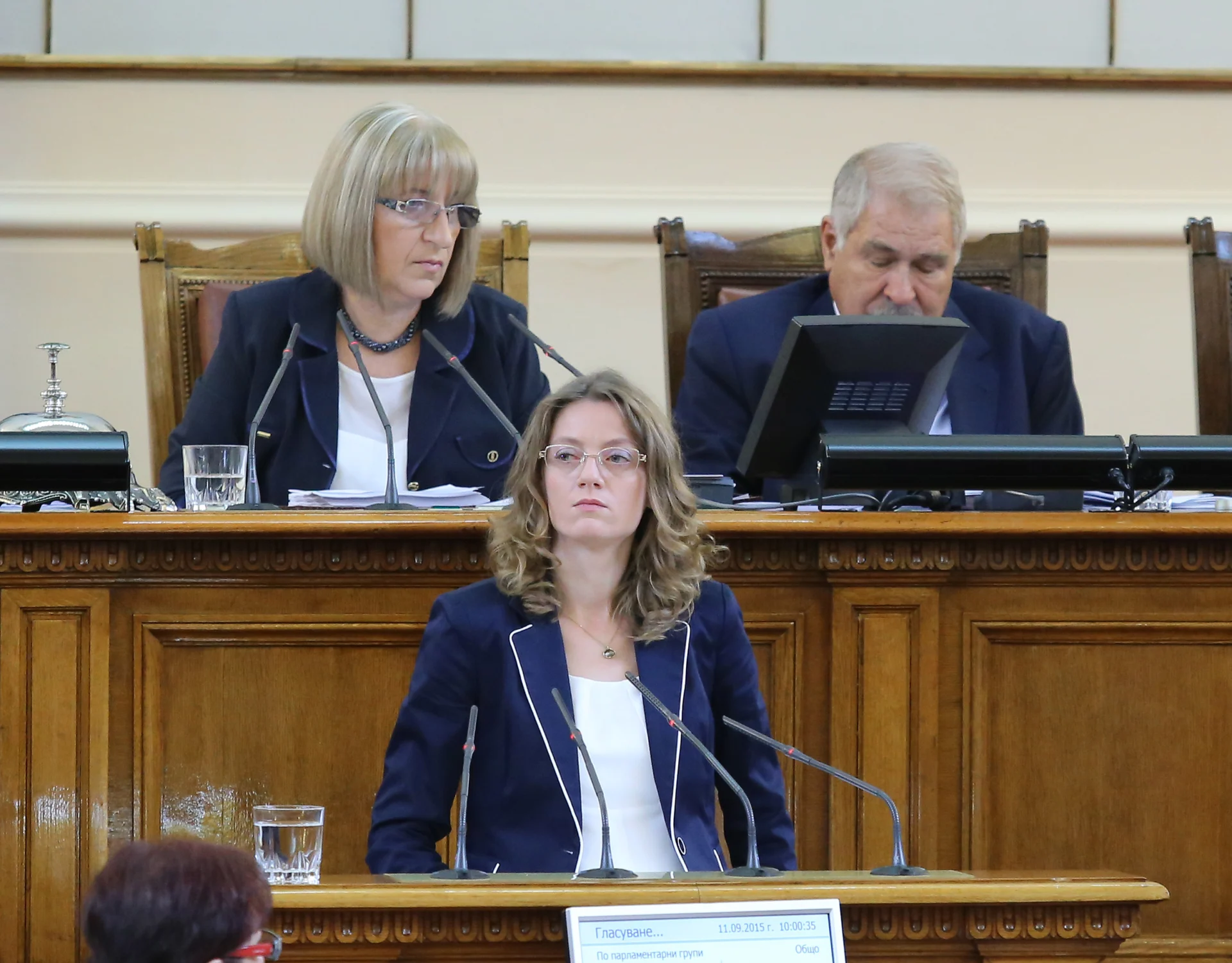 Парламент Милена Дамянова
