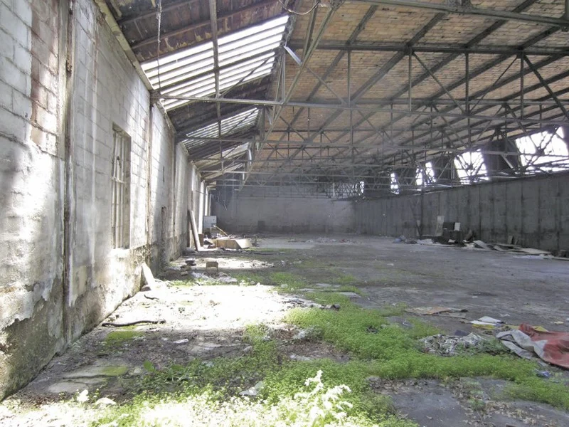 Хангарите