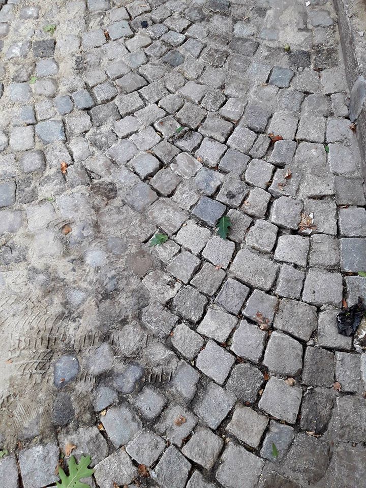 дондуков