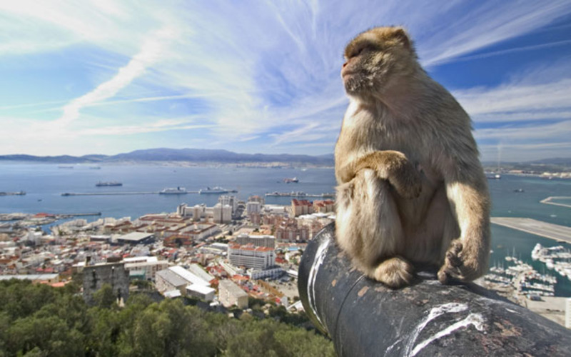 Migration Image