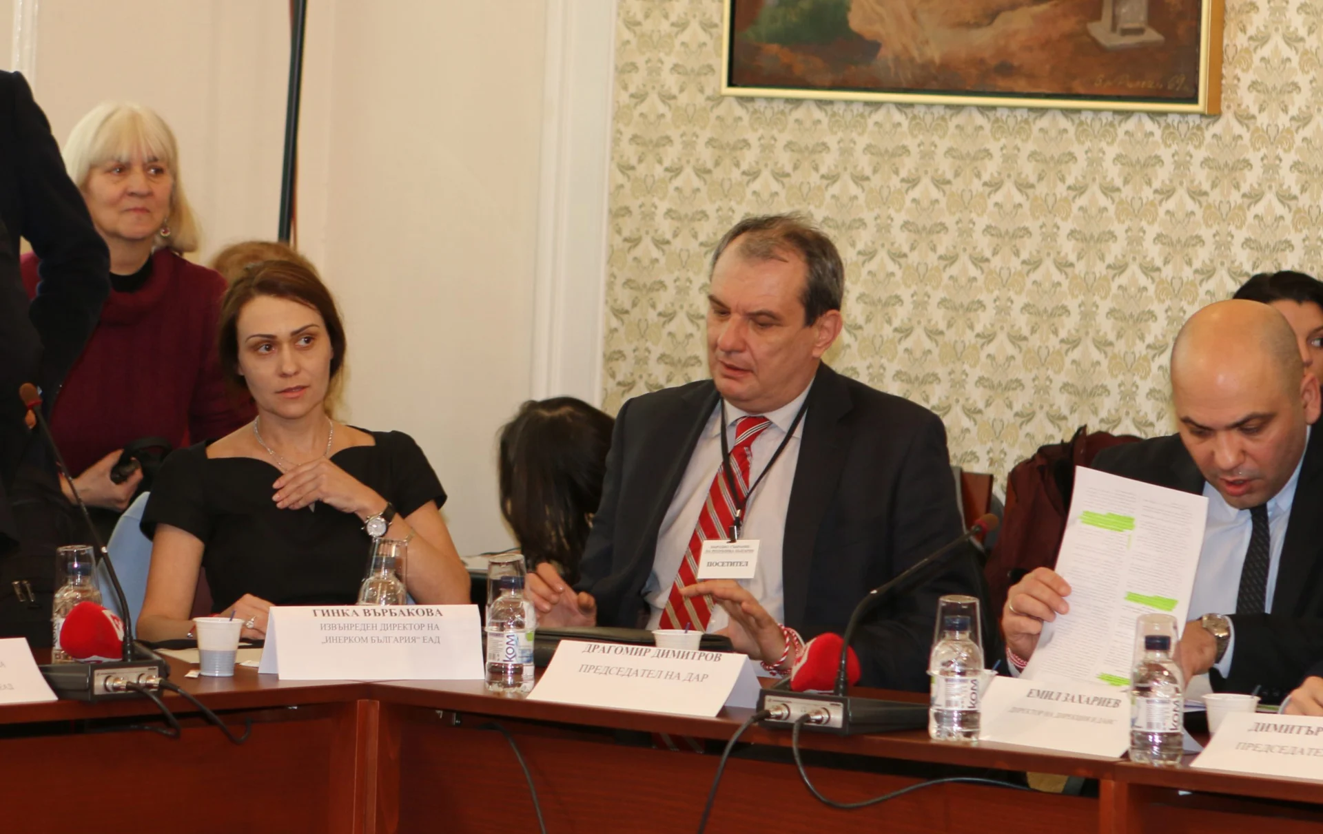 Парламент комисия по енергетика Гинка Върбакова...