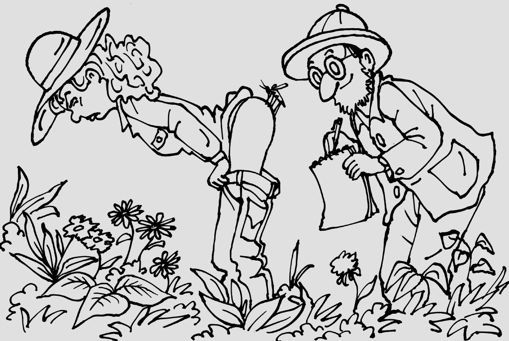 Изследовател описва комар