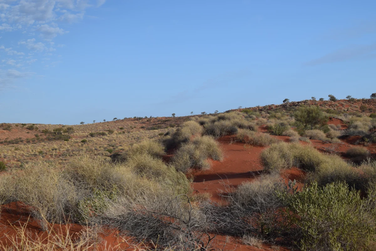 chast ot old andado station