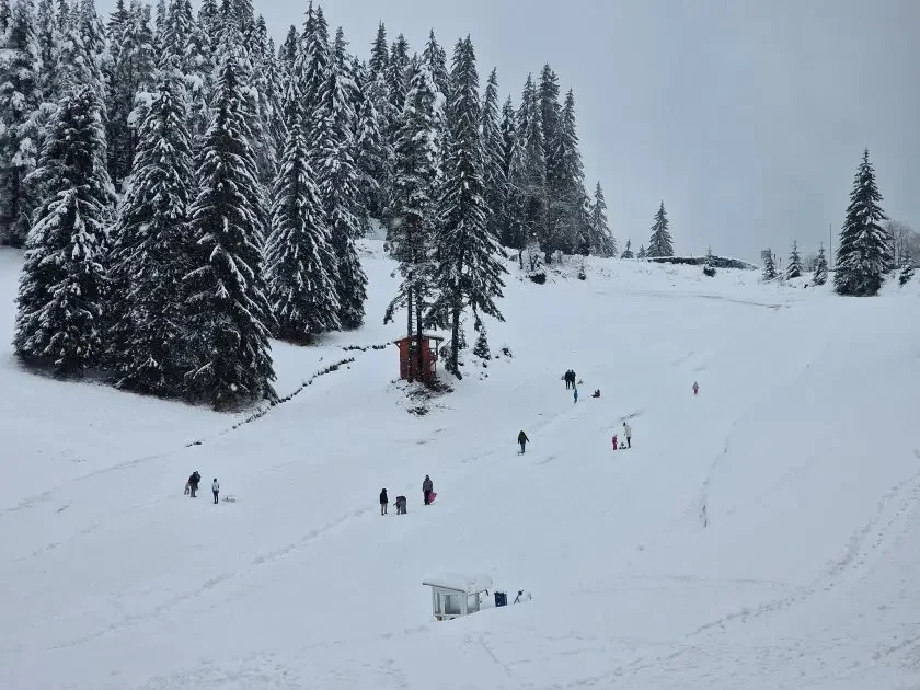 Чепеларе, ски писта, скиор
