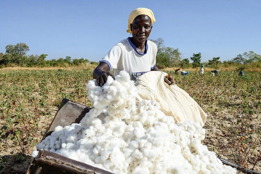Буркина Фасо национализира най-голямата памучна компания Sofitex