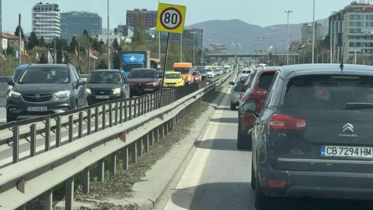 два протеста