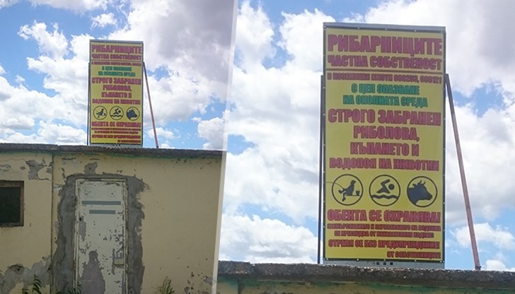 зцакана стрелба