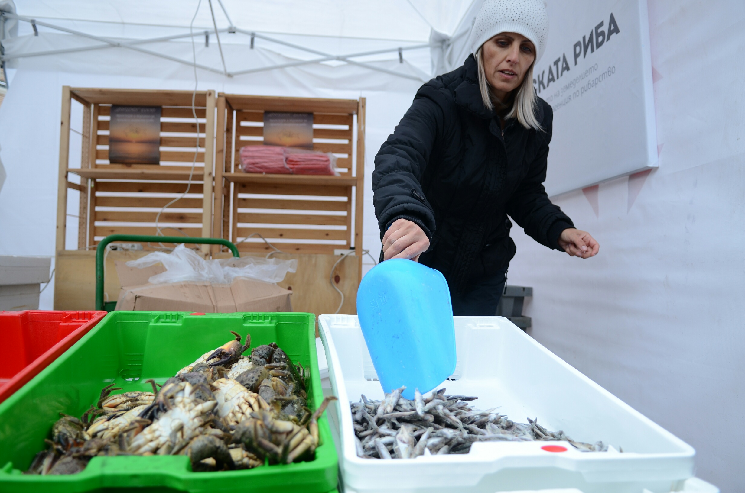 Риба Десислава Танева рибен пазар