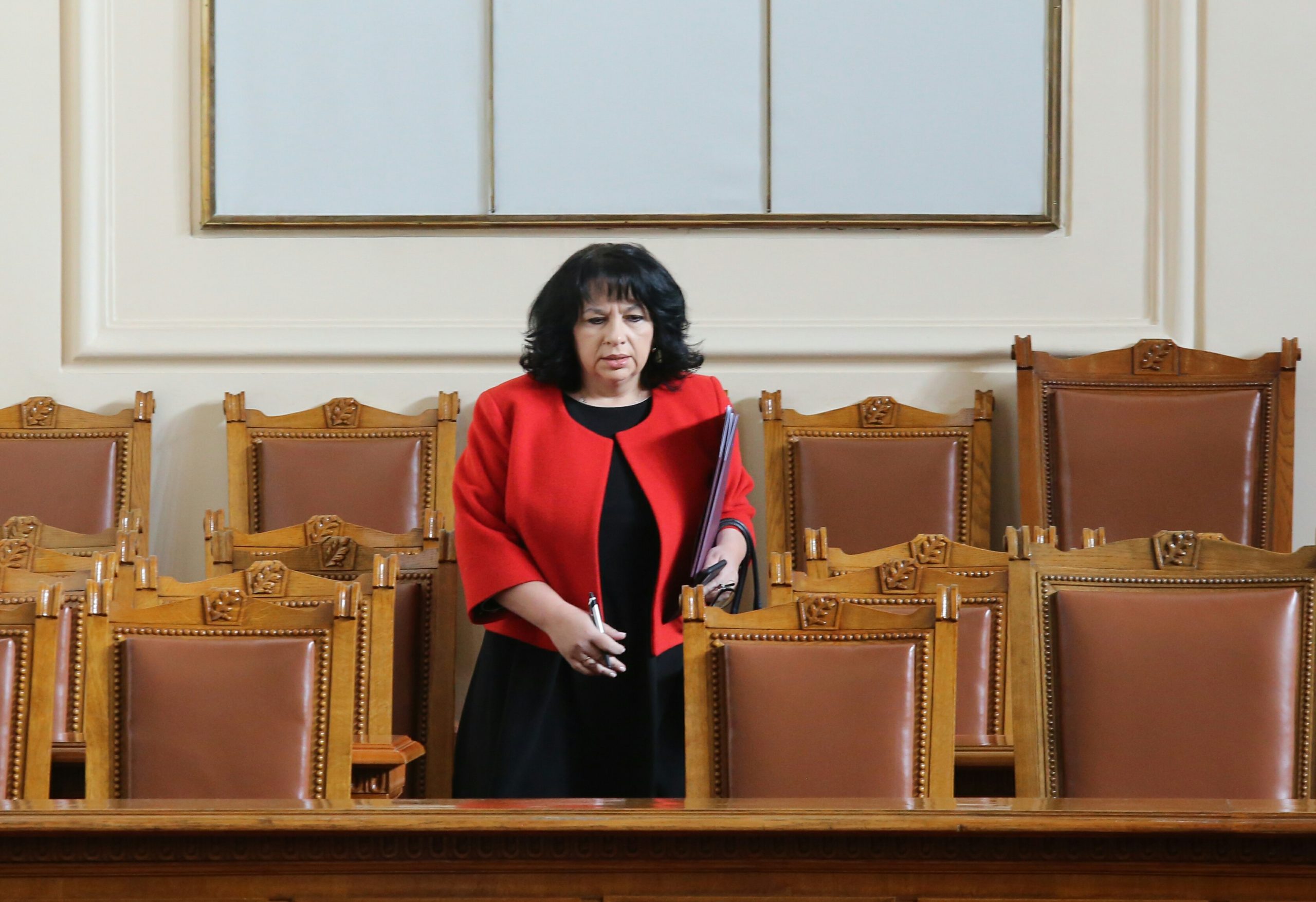 Парламент Теменужка Петкова
