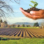 Земеделска земя