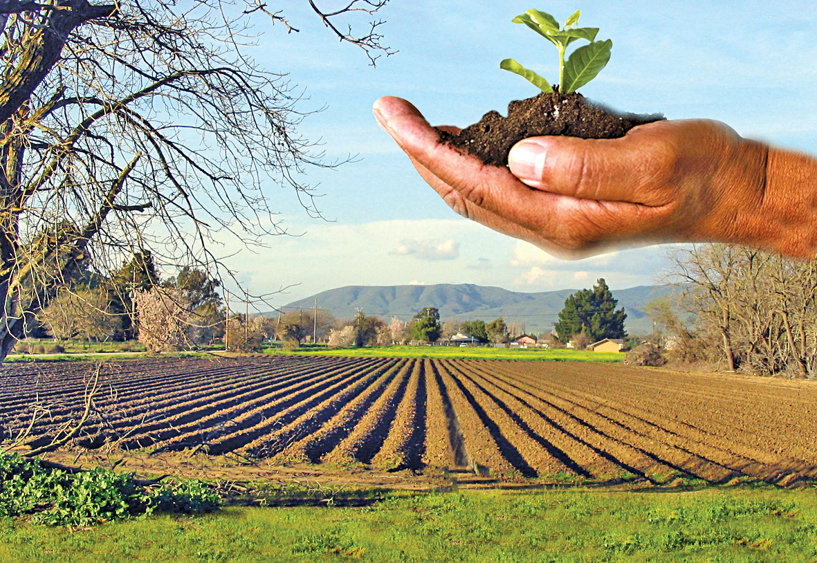 Земеделска земя