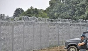 Migration Image